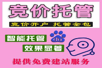 SEM代运营公司成功案例：提升品牌曝光率